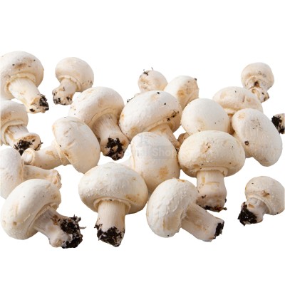 Шампиньоны свежие 500 г - купить в Олме-Шойской